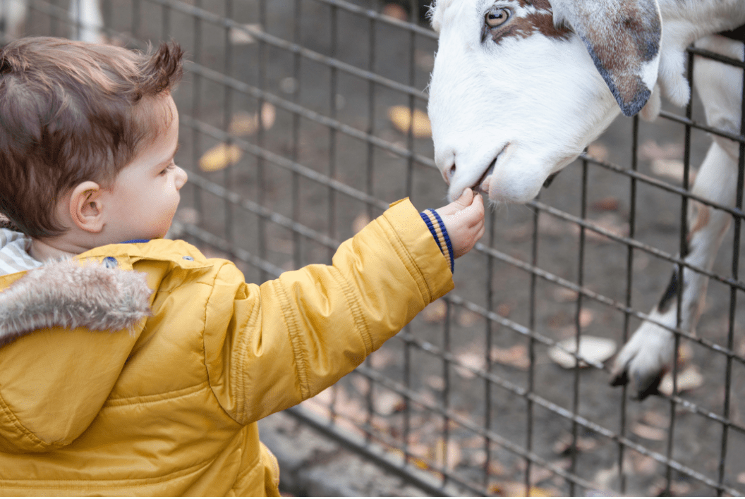 5 Spring Break family attractions in Phoenix Southwest Human Development