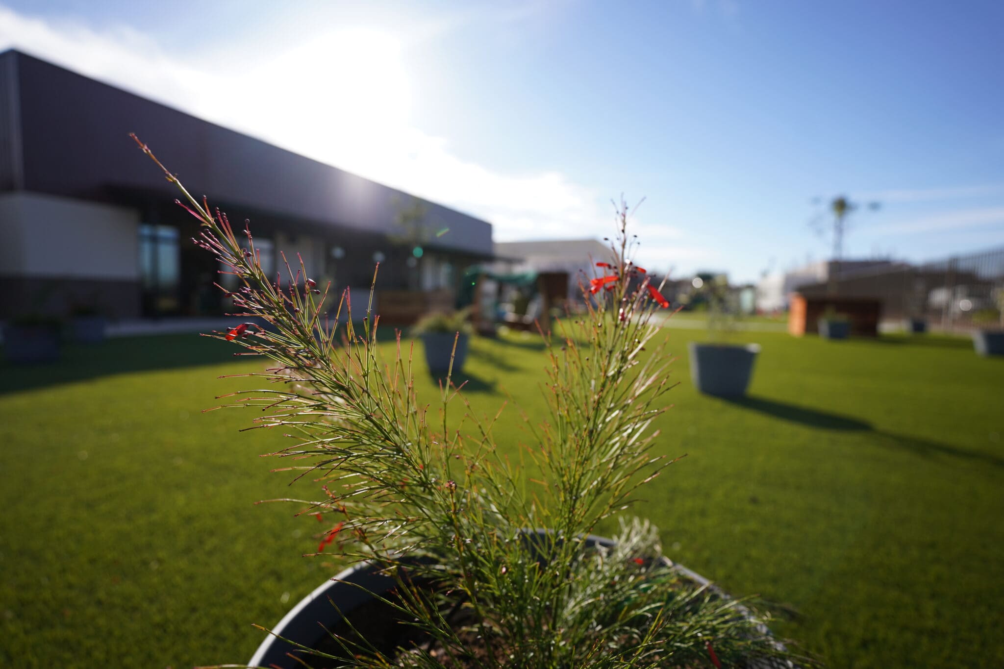 Grand Opening Celebration of New Head Start Location Tuesday, December 12